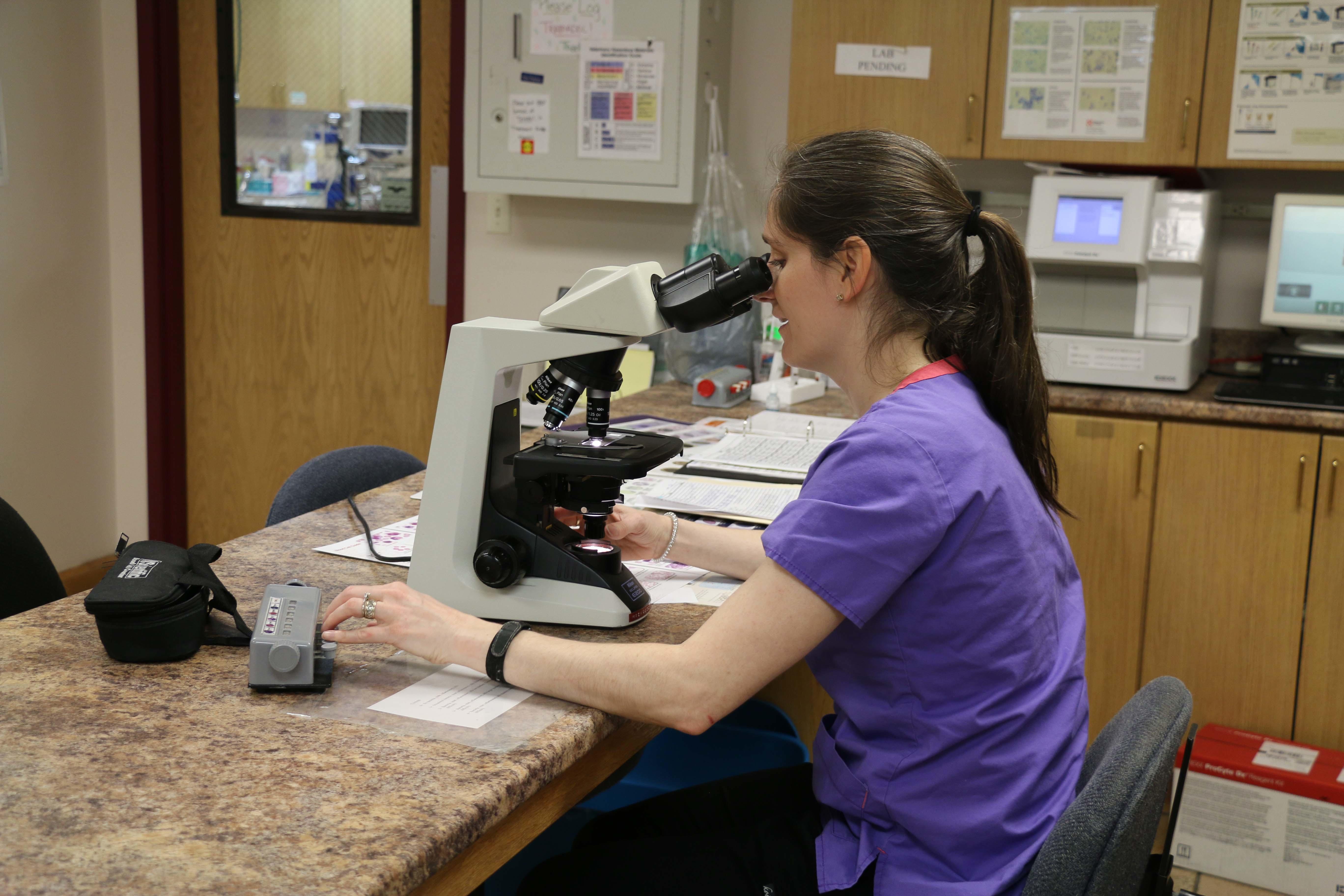 The in-house lab at Broadway Veterinary Clinic allows us to produce test results quickly and accurately.