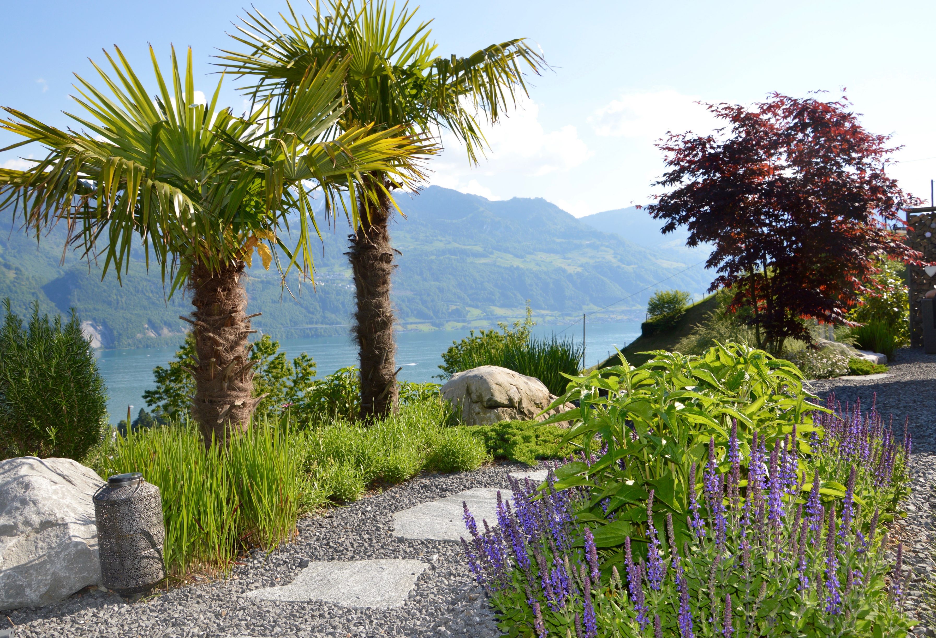 Bilder Nideroest Gärtner AG