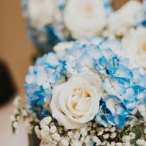 Liv Gracefully Blooms Image