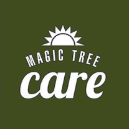 Magic Tree Care