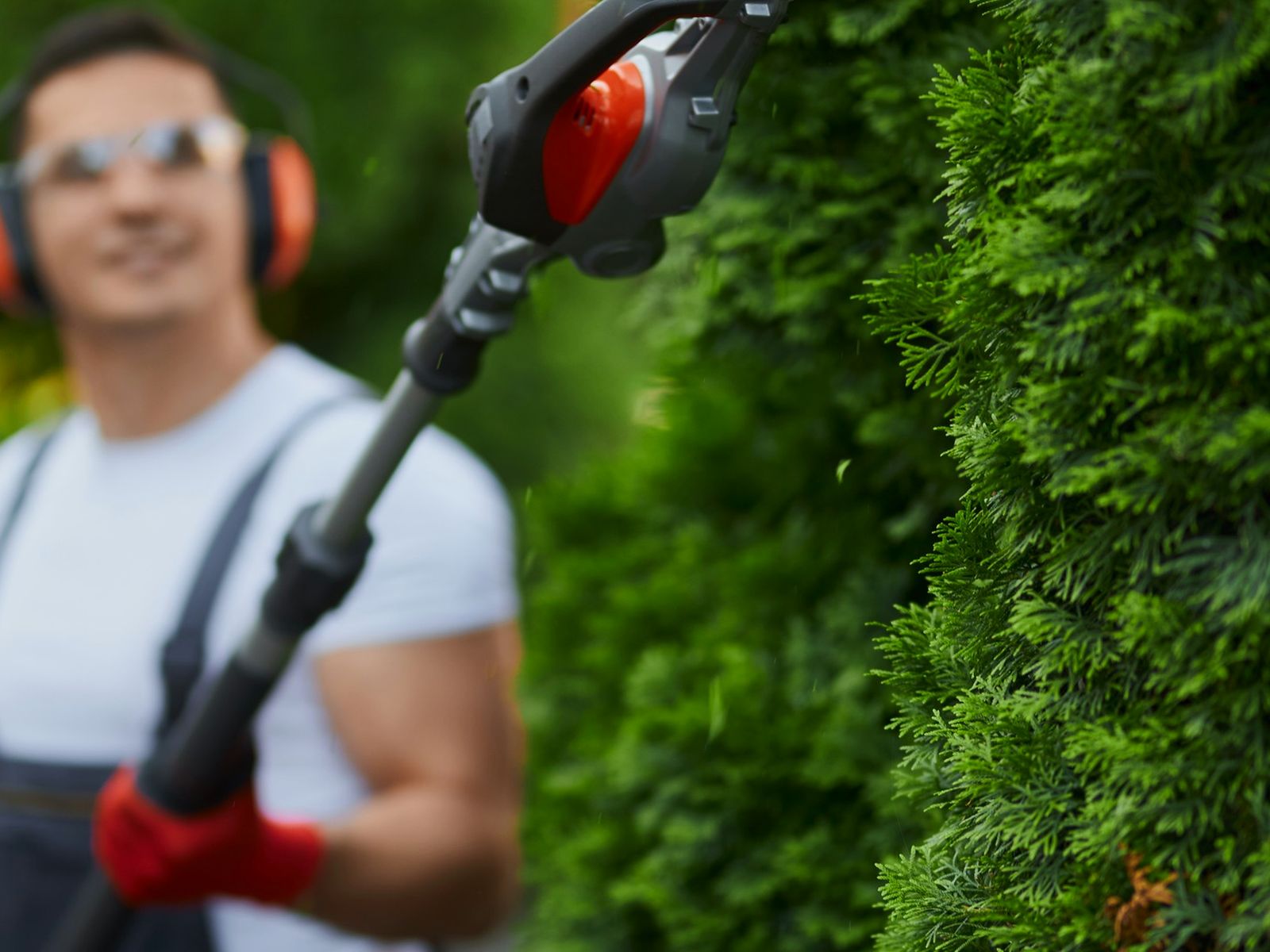 All American Arbor Services