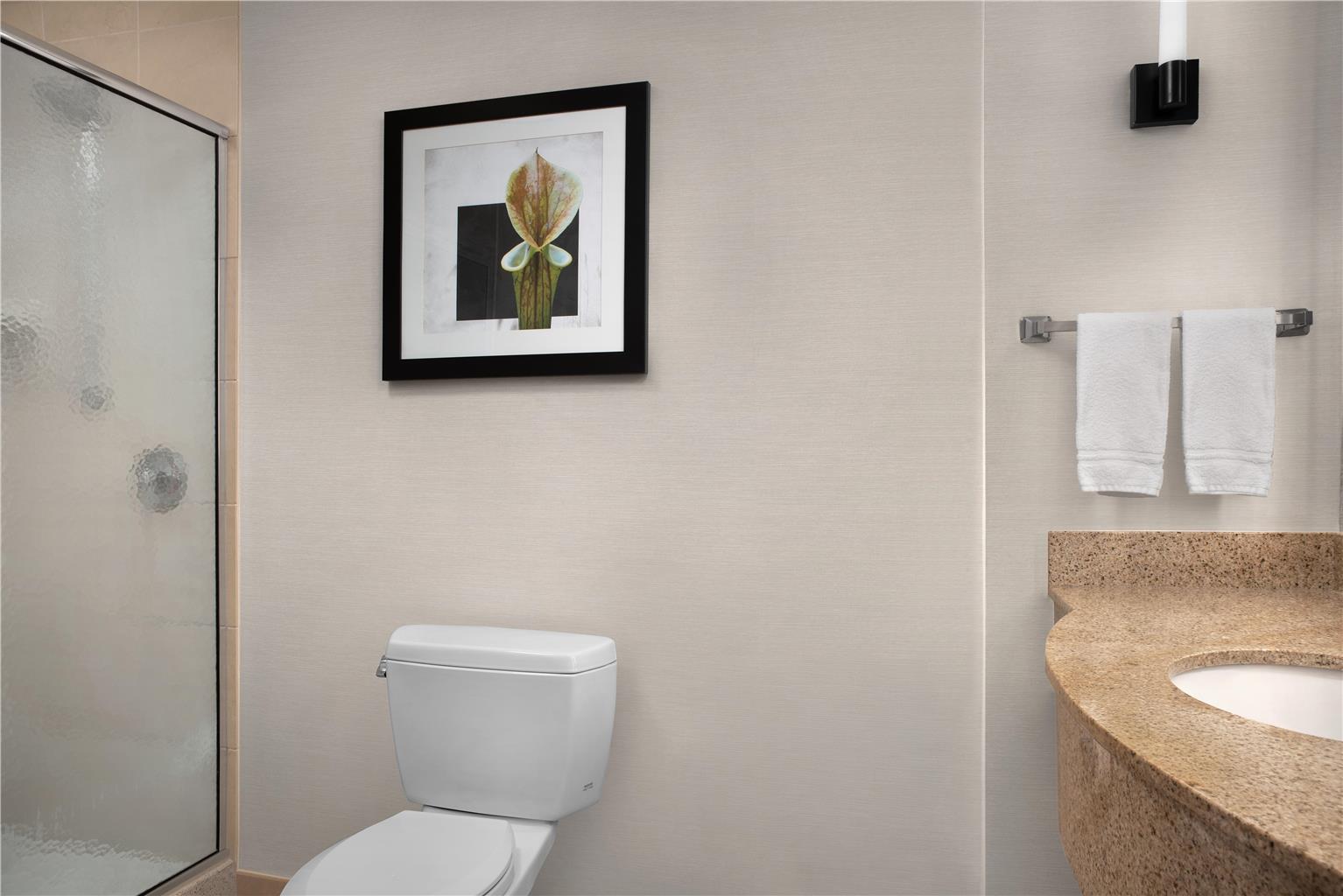 Guest room bath