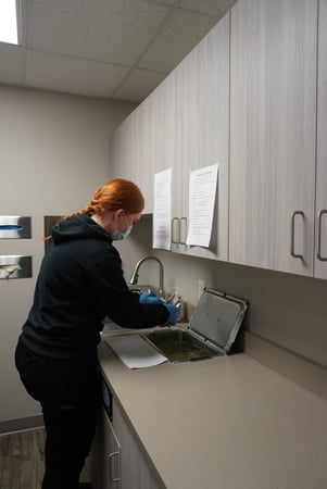 Images Preserve Family Dentistry