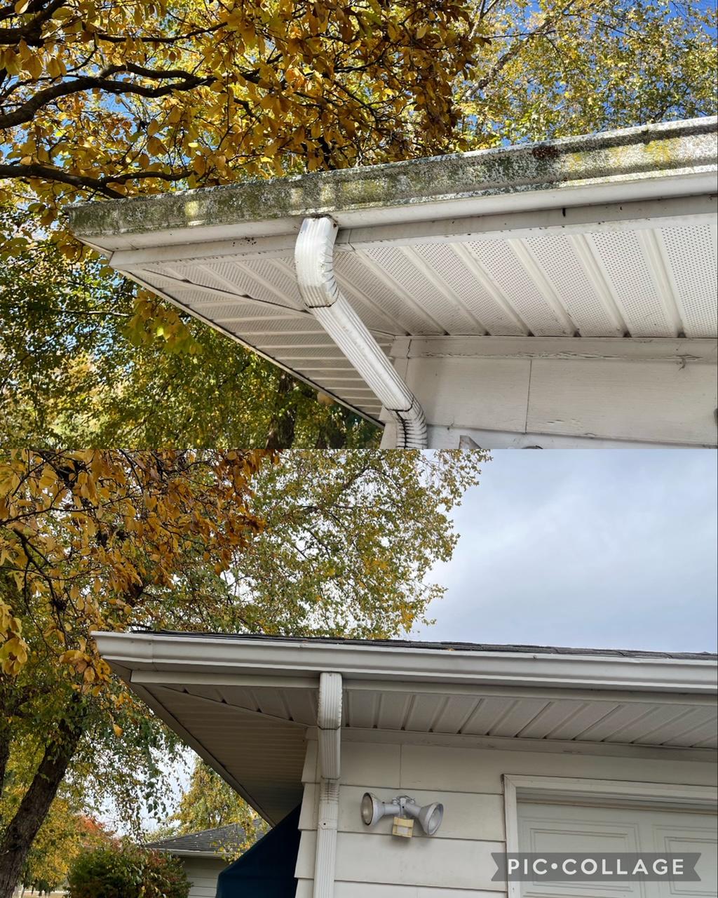 Check out all this lichen we got removed with our gutter cleaning process. Dublin Ohio