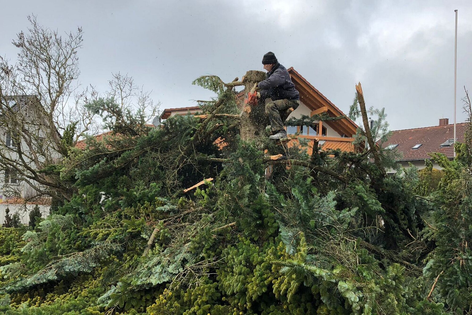 Bilder HDS Hausmeisterservice Entrümpelung Baumfällung Entkernung Demontage Altmetall-Entsorgung