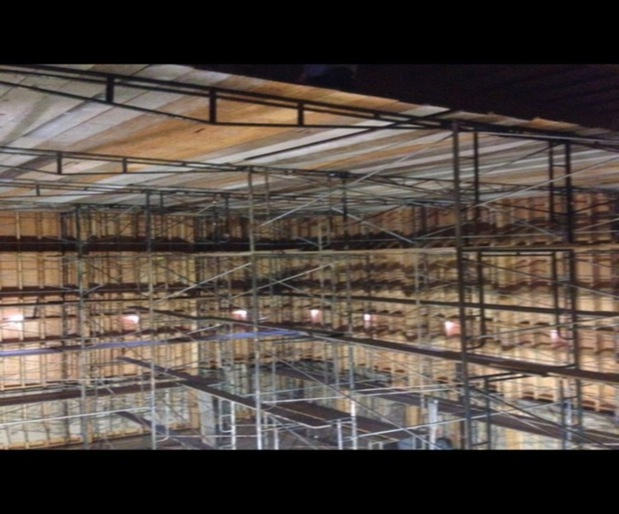 Images Marshall Scaffold