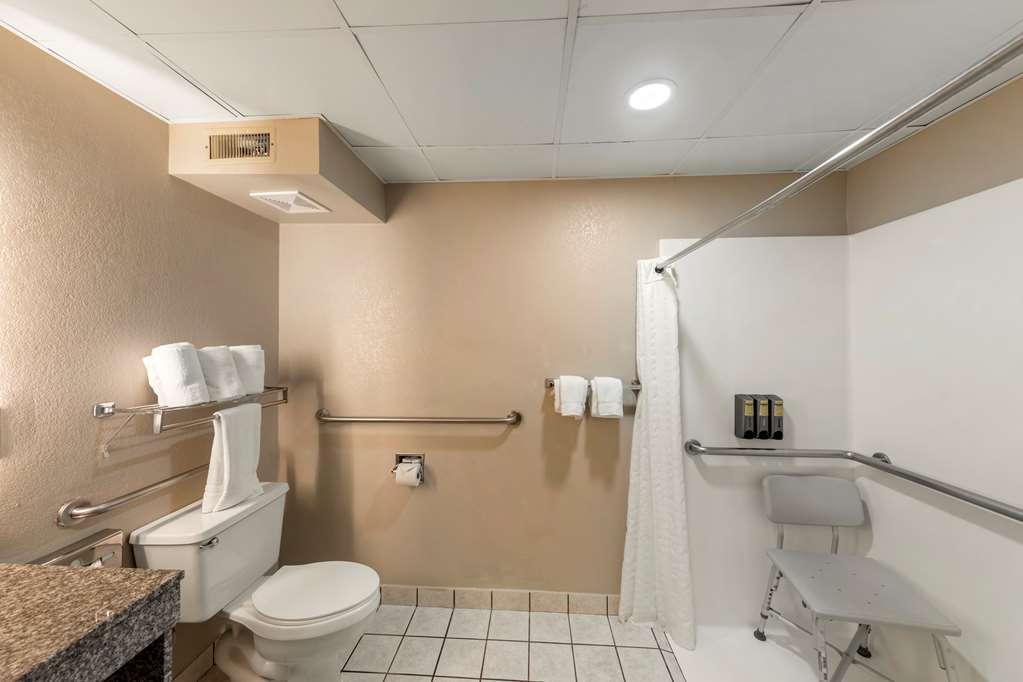ADA Guest Bathroom Roll In Shower