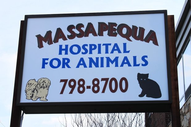 Images Massapequa Hospital for Animals
