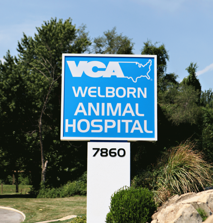 Images VCA Welborn Animal Hospital