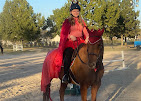 Images Star Ridge Stables