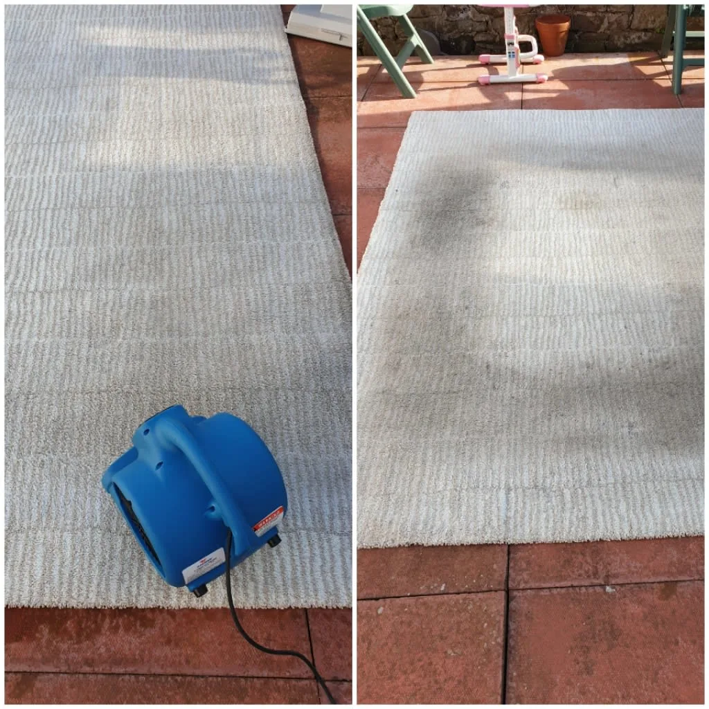 Images Johnshaven Carpet Cleaning Services