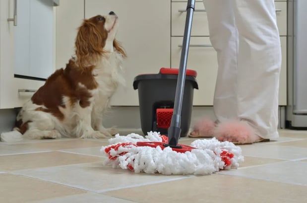 Images Duraclean Service by Bob