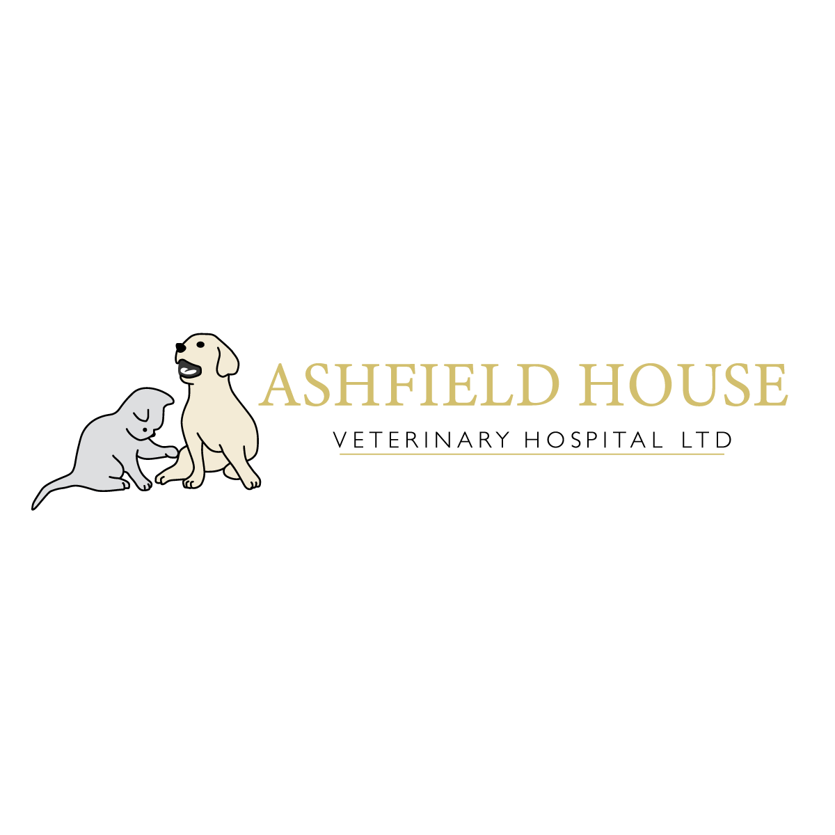 Ashfield House Vets, Spondon Logo