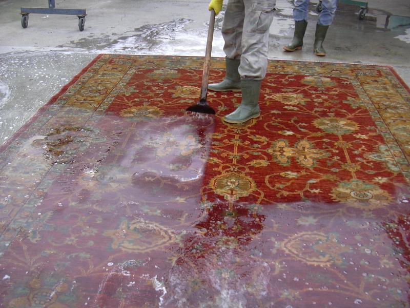 Images Iran Carpet  di Abbasi Mosa e C