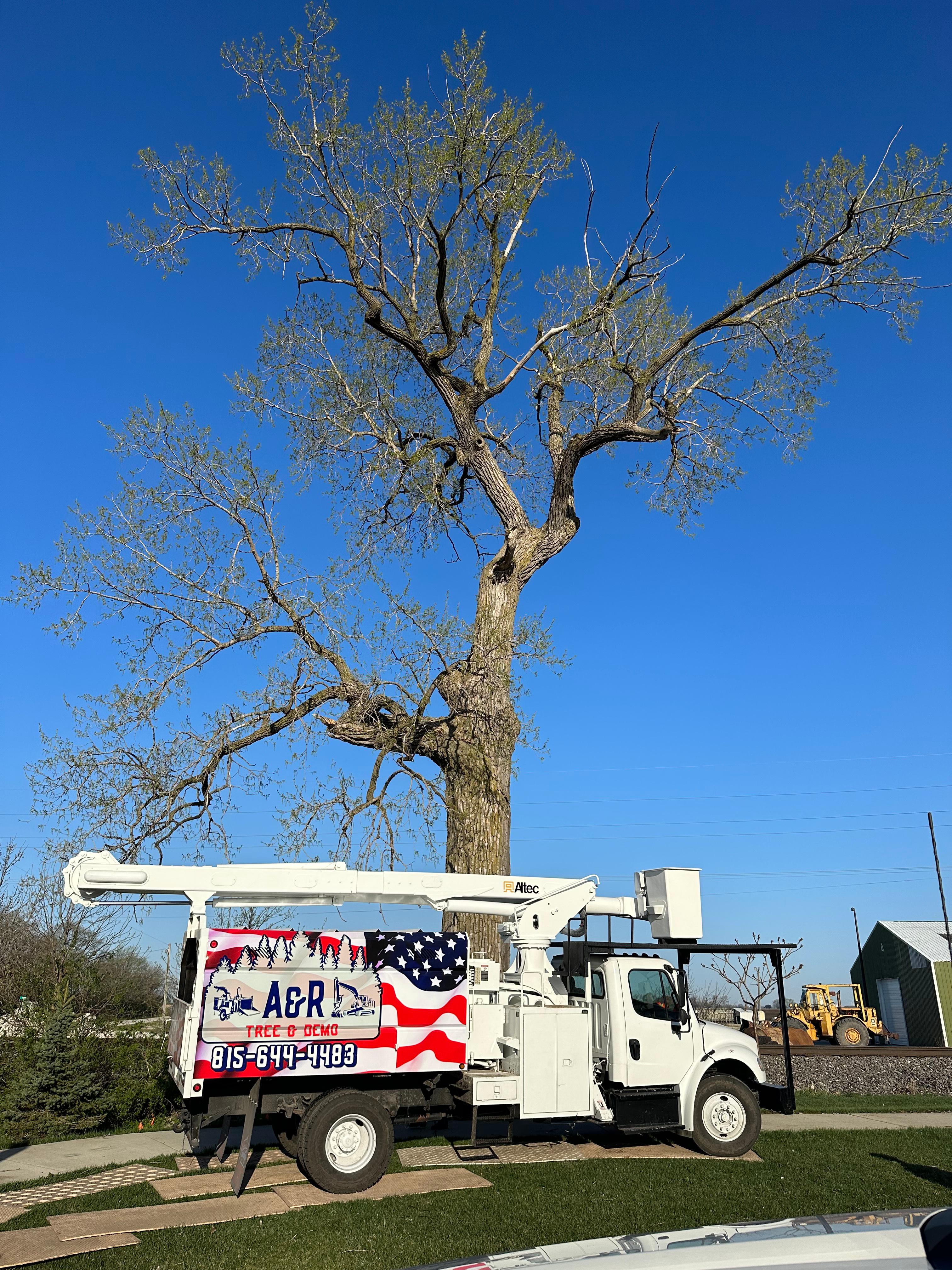A&amp;R Tree and Demolition Service Logo