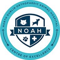 NOAH – Veterinary hospital