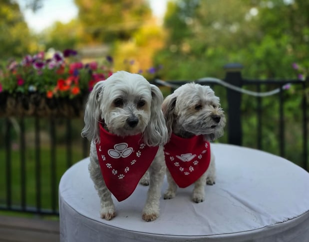 Images Diana Larson - State Farm Insurance Agent