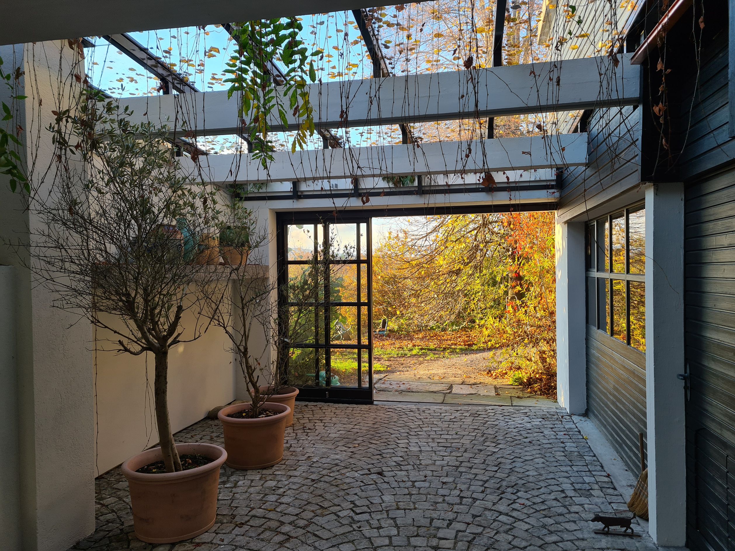 Bilder Glas Schneller GmbH