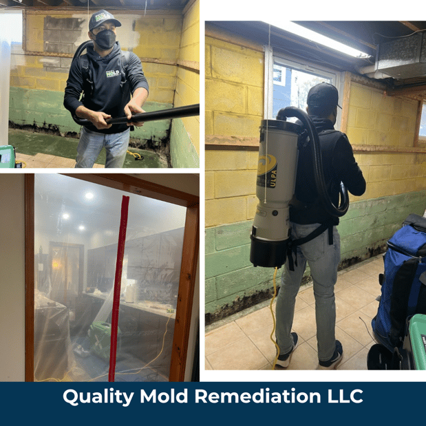 Images Quality Mold Remediation LLC