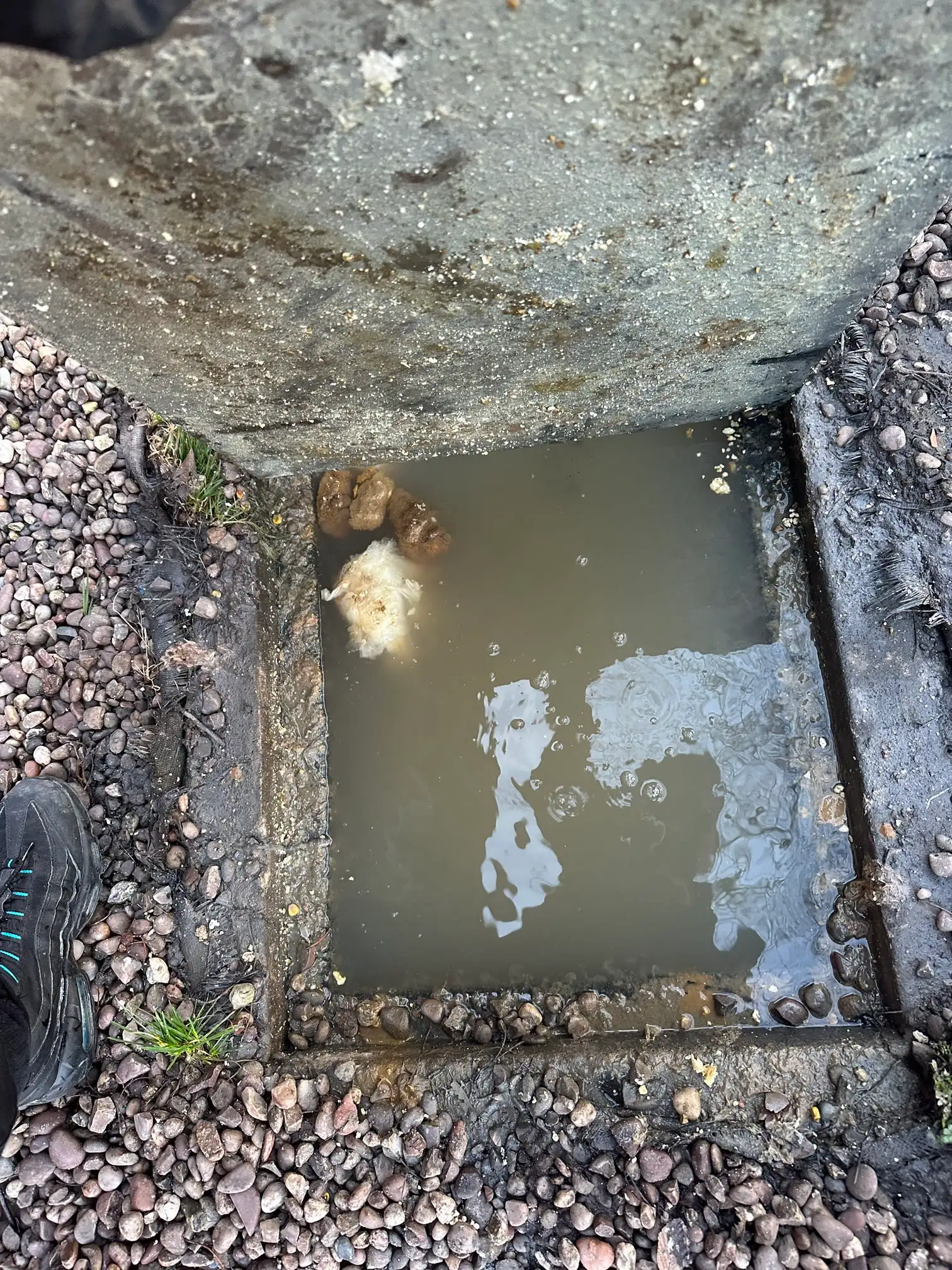 Images SBDrainage NW LTD