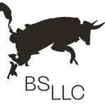BS LLC Logo
