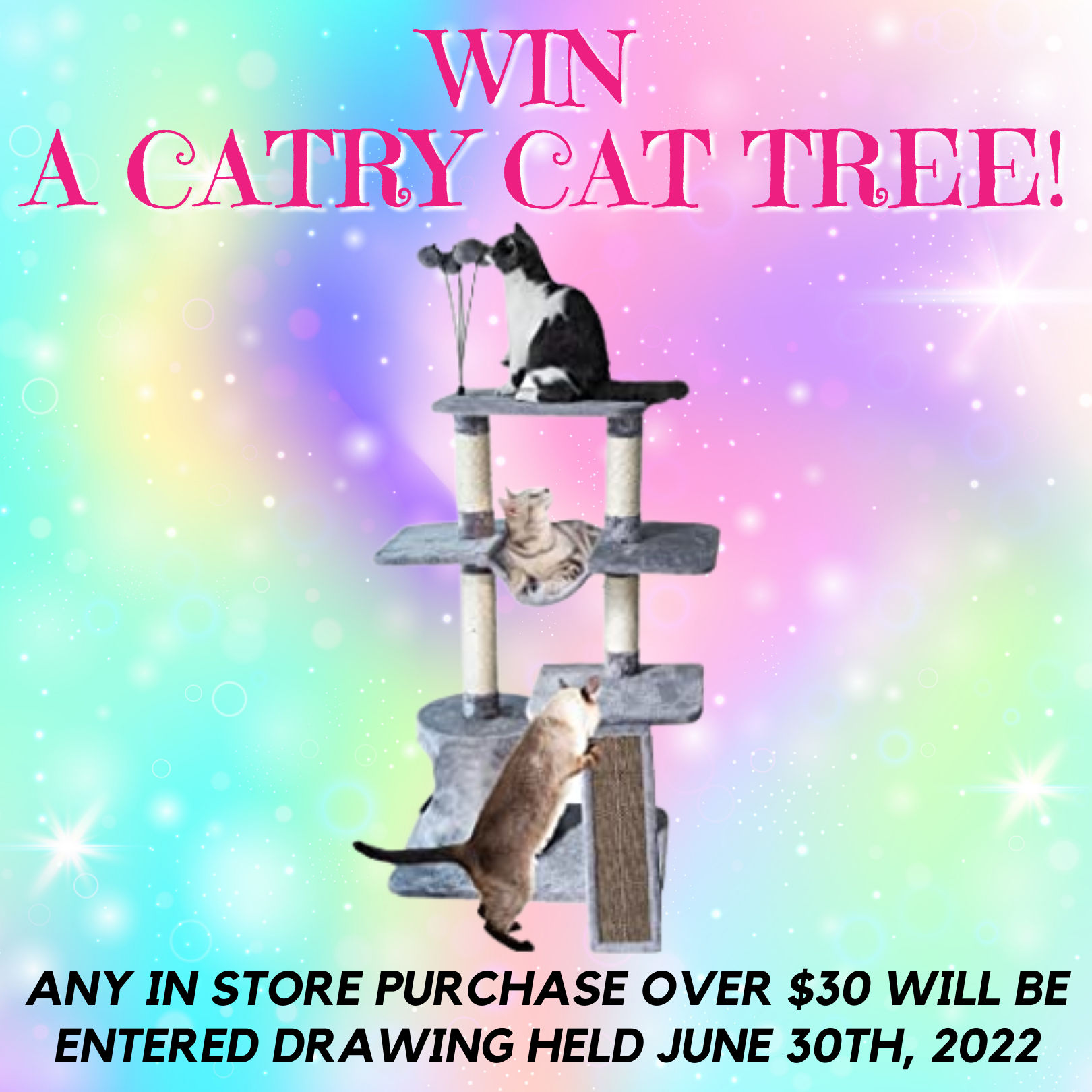June 2022! Win A Level 4 Catry Cat Tree! Simply Diego's