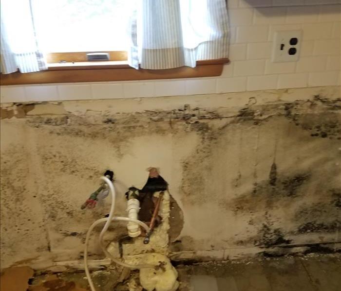 Mold Behind Sink