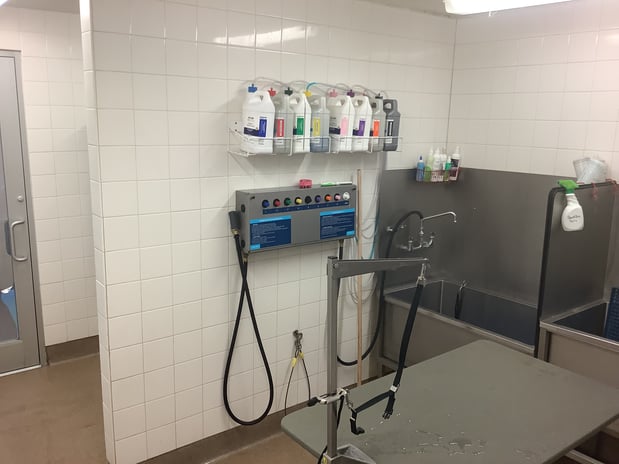 Images Petco Grooming