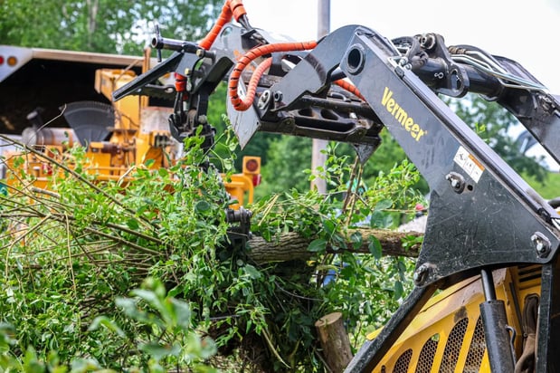 Images Brown's Tree Service LLC