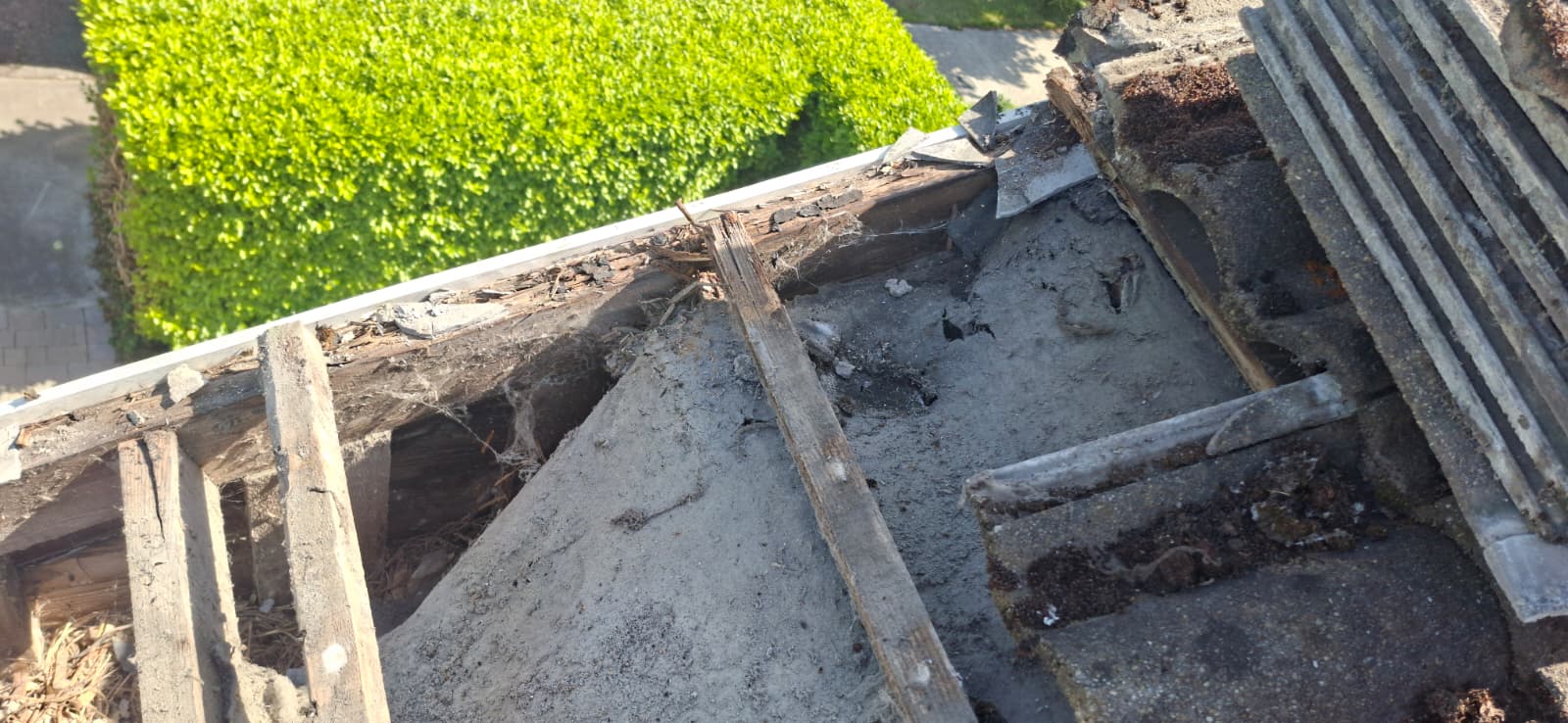 Pro Elite Roofing 83