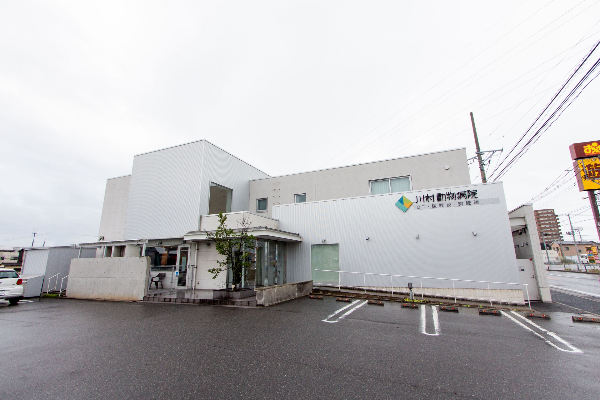 Images 川村動物病院