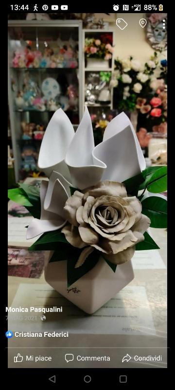 Images Fiori e Piante Anna e Monica