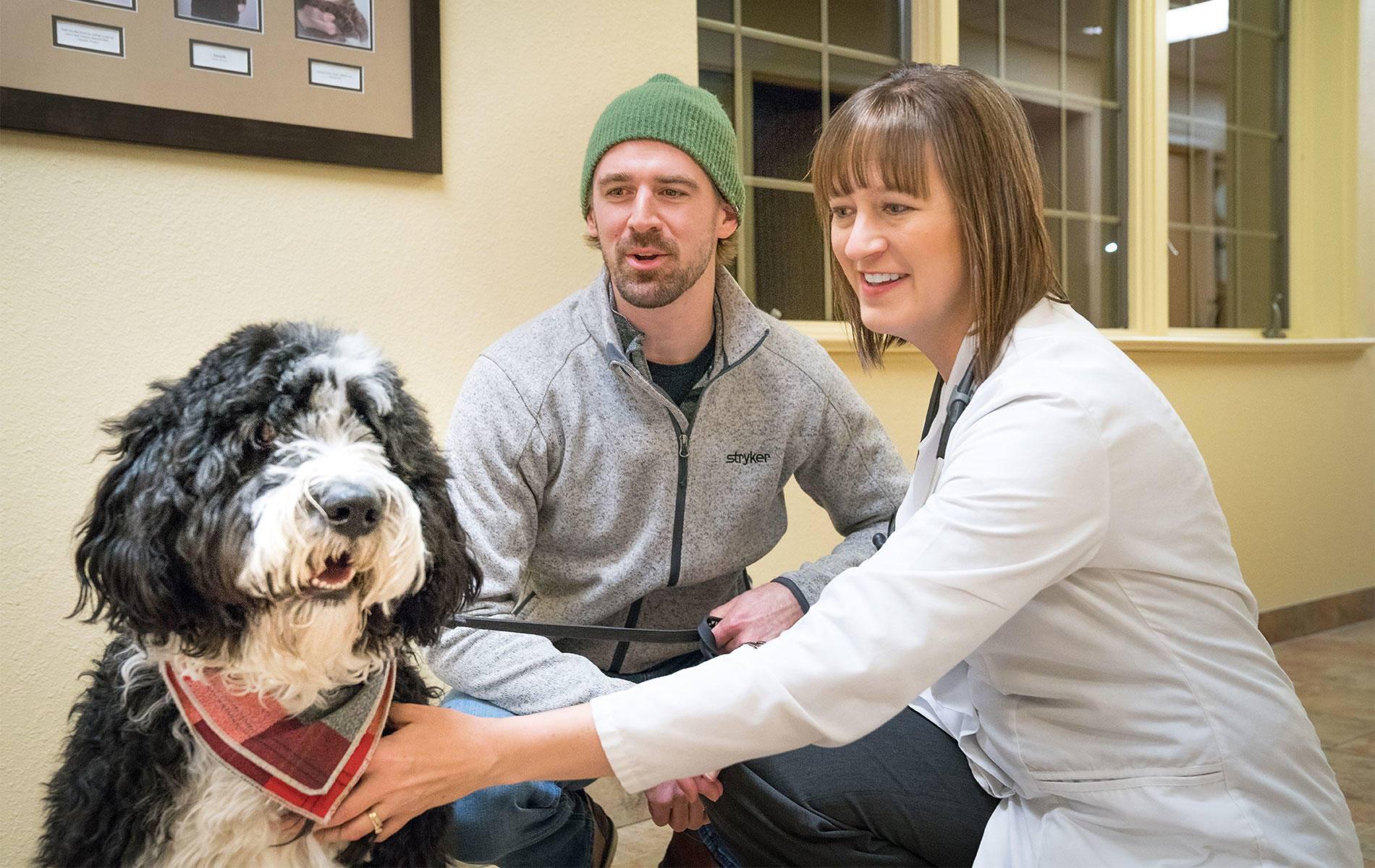 Dr. Amy Haarstad is specialized in providing consultation, examination, and veterinary dermatology services. From allergies to ear disease management, Dr. Amy Haarstad is fully equipped and ready to help.
