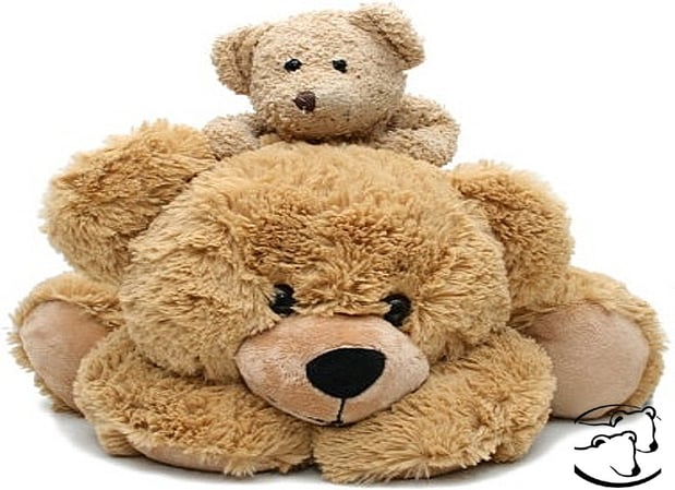 Images Bear-O Care