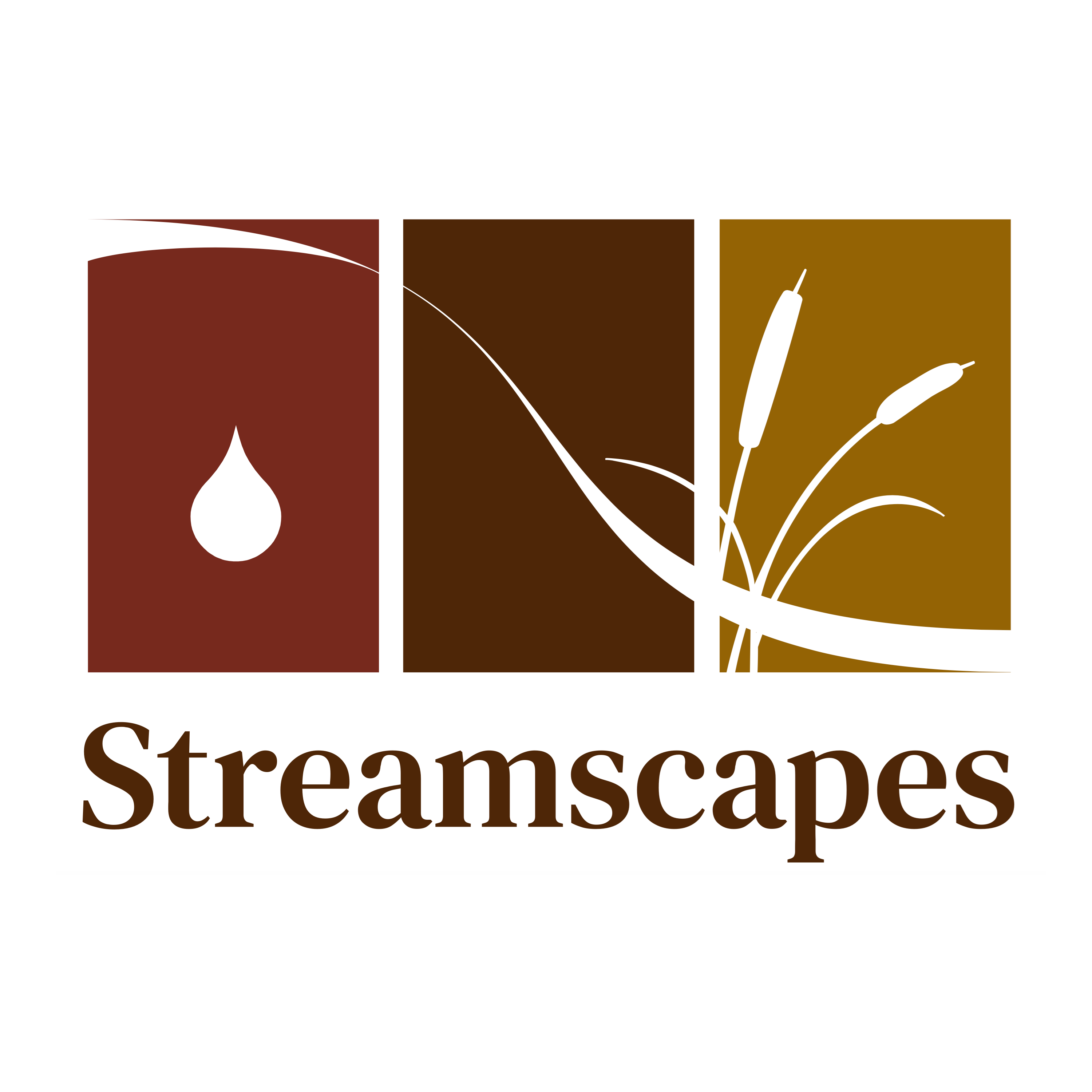 company logo