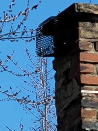 Images Expert Pest Control LLC