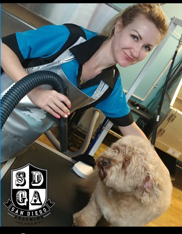 Images San Diego Grooming Academy