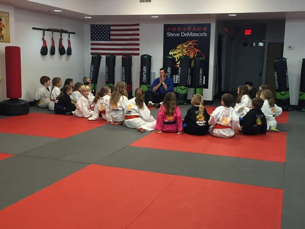 Images Steve DeMasco's Martial Arts of Wellesley