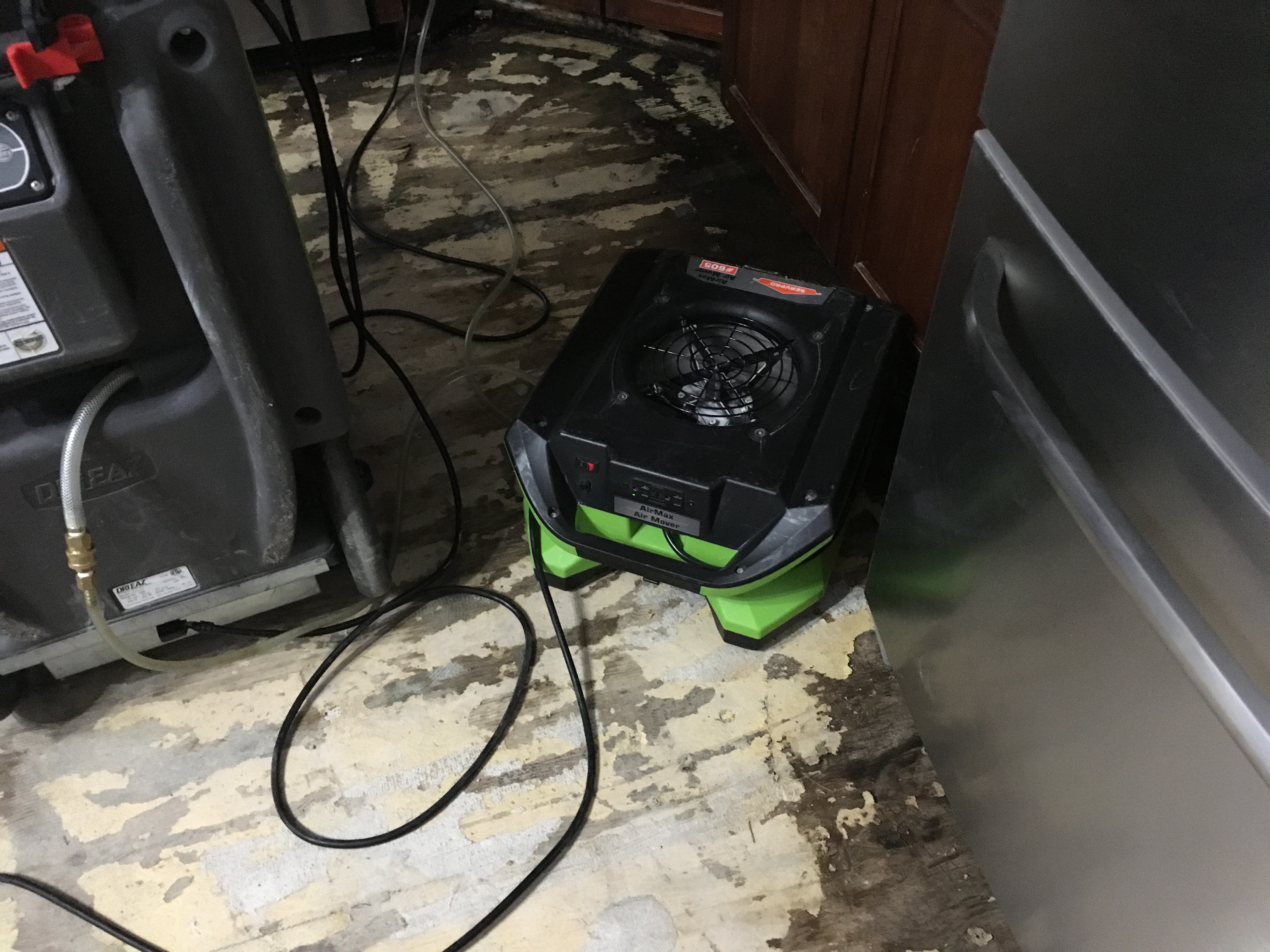 Water damage turned into mold damage in this home.