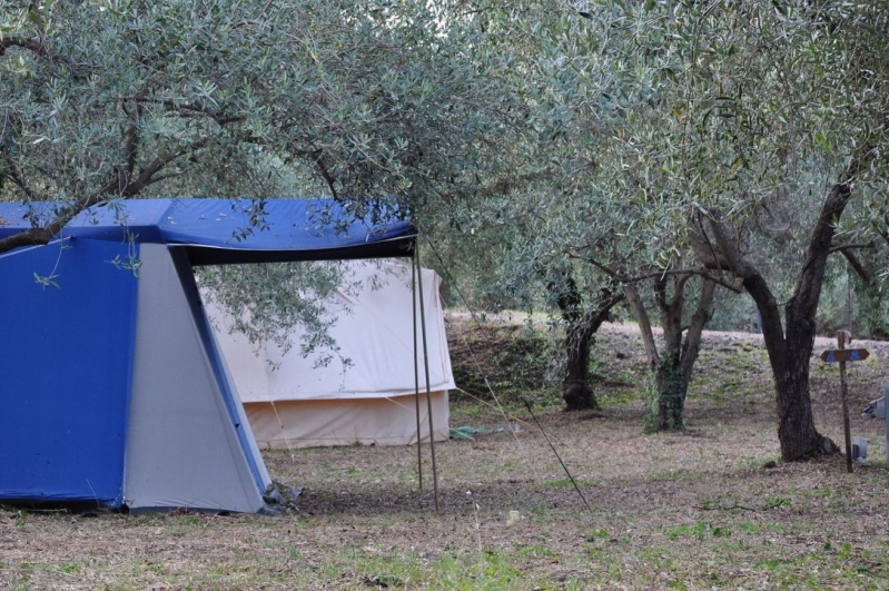 Images Il Pigno