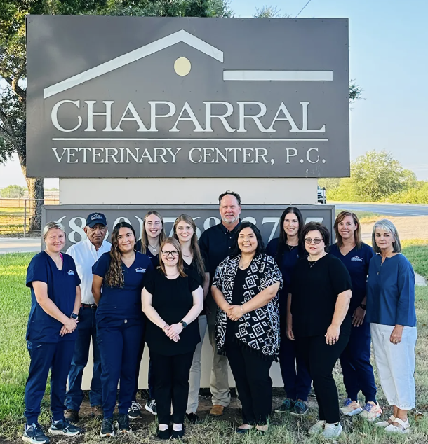 Images Chaparral Veterinary Center, P.C.