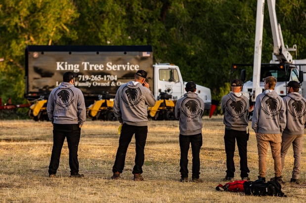 Images King Tree Service