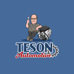 Teson Automotive Inc Logo