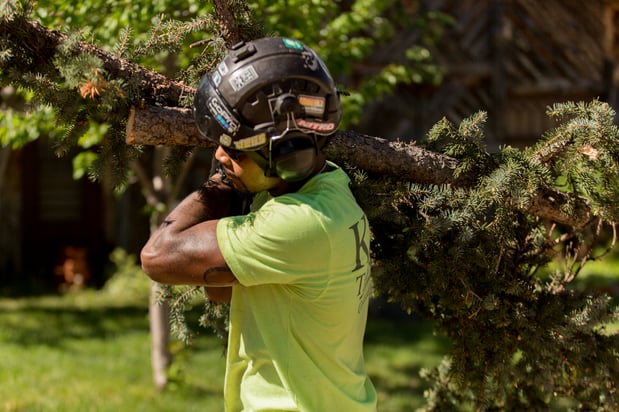 Images King Tree Service