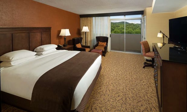 Images The Park Vista - a DoubleTree by Hilton Hotel - Gatlinburg