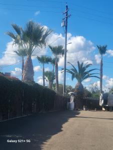 4 Winds Tree Service - Tree care