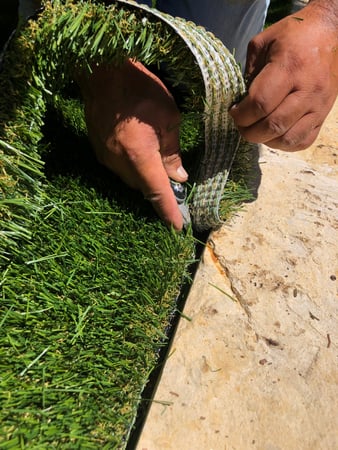 Images Waterloo Turf Austin