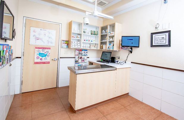 Images VCA Becker Animal Hospital and Pet Resort