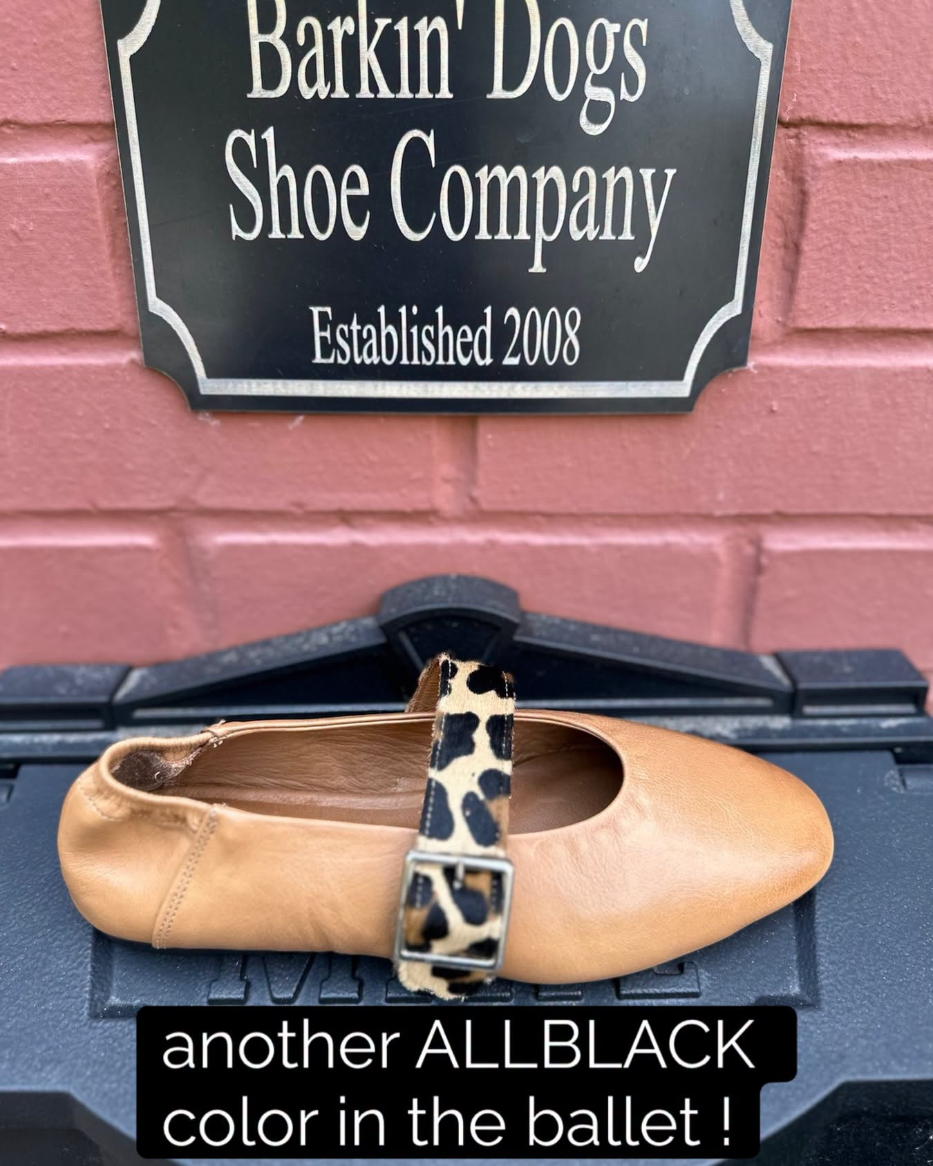 Step out in comfort and style with this unique tan leather ballet flat featuring a bold animal-print strap. A fabulous addition to any outfit, available at Barkin’ Dogs Shoe Co.