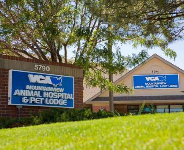 Images VCA Mountainview Animal Hospital & Pet Lodge